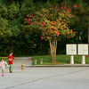Brian Dusablon > July - Kids and Pets >  DSC_0006