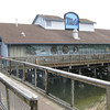Brian Dusablon > Oregon Coast 2008 >  IMG_0433