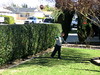 Brian Dusablon > Cali - Day Two (Football) >  IMG_0729