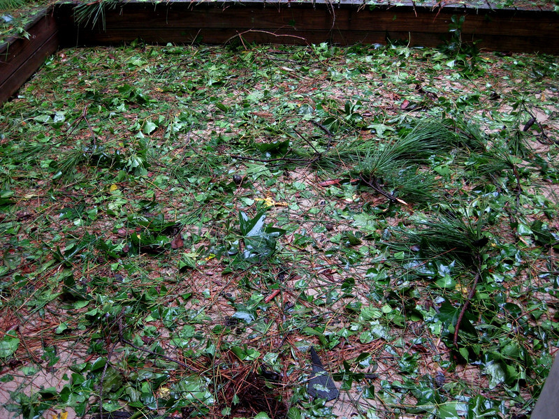 Brian Dusablon > Hurricane Ike >  IMG_0533