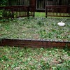 Brian Dusablon > Hurricane Ike >  IMG_0534