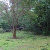 Brian Dusablon > Hurricane Ike >  IMG_0536