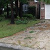 Brian Dusablon > Hurricane Ike >  IMG_0539