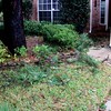 Brian Dusablon > Hurricane Ike >  IMG_0540