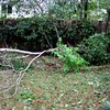 Brian Dusablon > Hurricane Ike >  IMG_0563