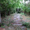 Brian Dusablon > Hurricane Ike >  IMG_0568