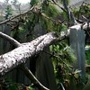 Brian Dusablon > Hurricane Ike >  IMG_0604