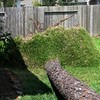 Brian Dusablon > Hurricane Ike >  IMG_0606